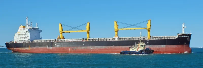 OCEAN ENTERPRISE Bulk Carrier IMO 9712175 photo 4