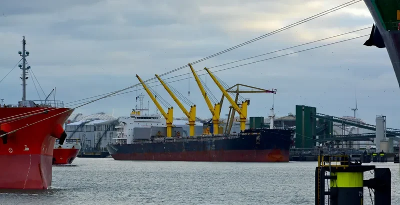 OCEAN ENTERPRISE Bulk Carrier IMO 9712175 photo 8