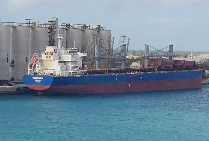 TIGER PIONEER Bulk Carrier IMO 9712199