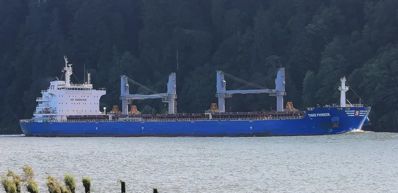 TIGER PIONEER Bulk Carrier IMO 9712199 photo 3