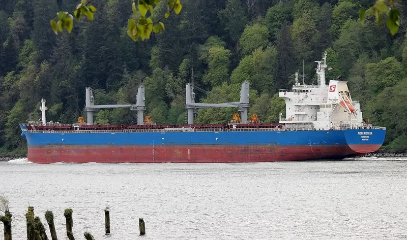 TIGER PIONEER Bulk Carrier IMO 9712199 photo 4
