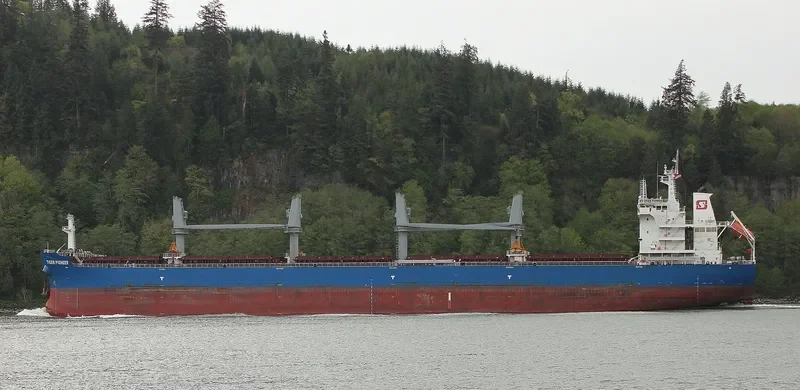 TIGER PIONEER Bulk Carrier IMO 9712199 photo 5