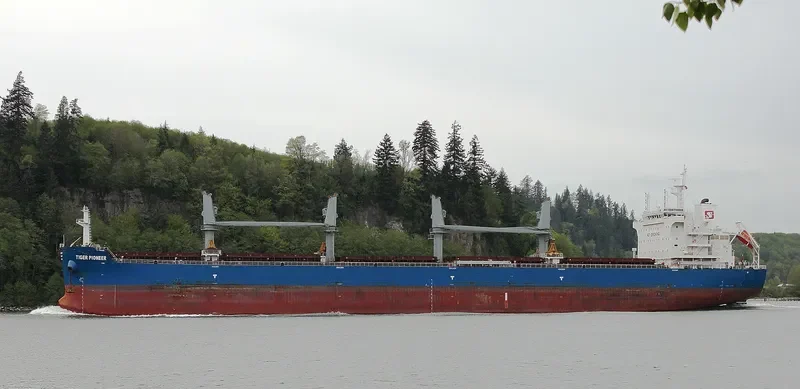TIGER PIONEER Bulk Carrier IMO 9712199 photo 6