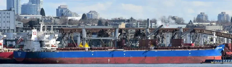 TIGER HEBEI Bulk Carrier IMO 9712204