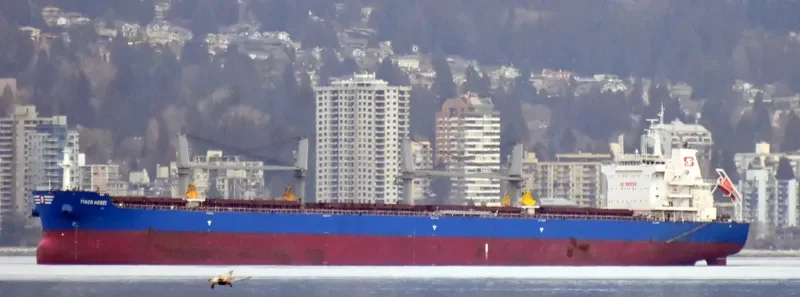 TIGER HEBEI Bulk Carrier IMO 9712204 photo 2