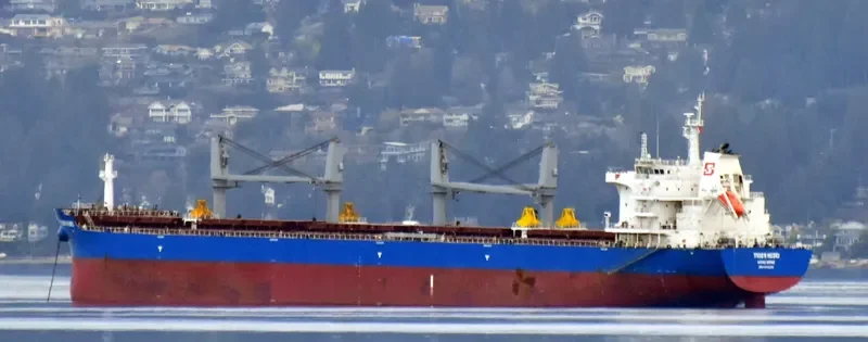 TIGER HEBEI Bulk Carrier IMO 9712204 photo 3