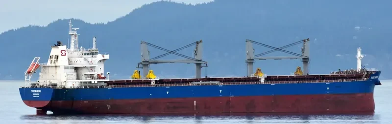 TIGER HEBEI Bulk Carrier IMO 9712204 photo 4