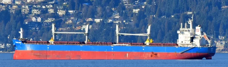 TIGER HEBEI Bulk Carrier IMO 9712204 photo 5