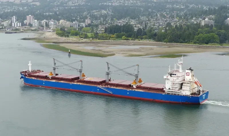 TIGER HEBEI Bulk Carrier IMO 9712204 photo 7
