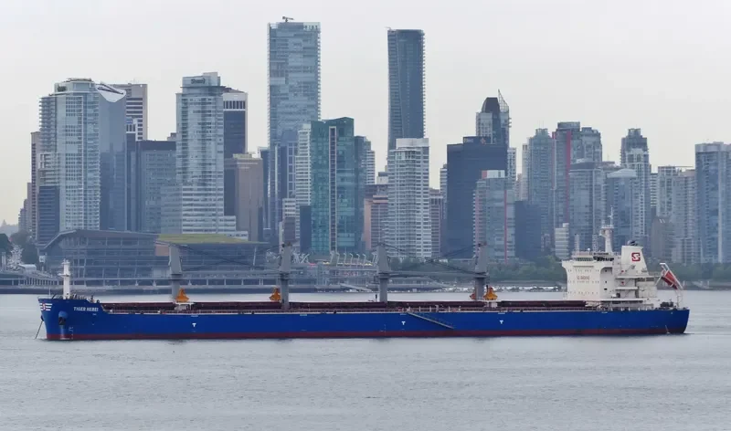 TIGER HEBEI Bulk Carrier IMO 9712204 photo 8