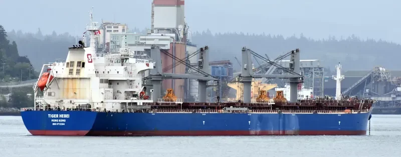 TIGER HEBEI Bulk Carrier IMO 9712204 photo 9