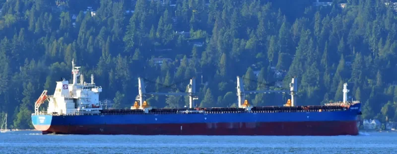 TIGER HEBEI Bulk Carrier IMO 9712204 photo 10