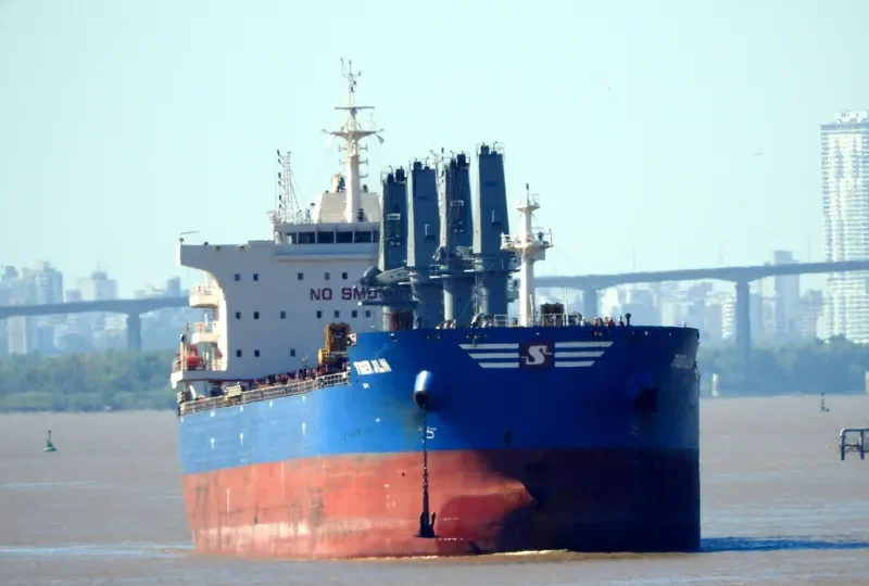 TIGER JILIN Bulk Carrier IMO 9712216