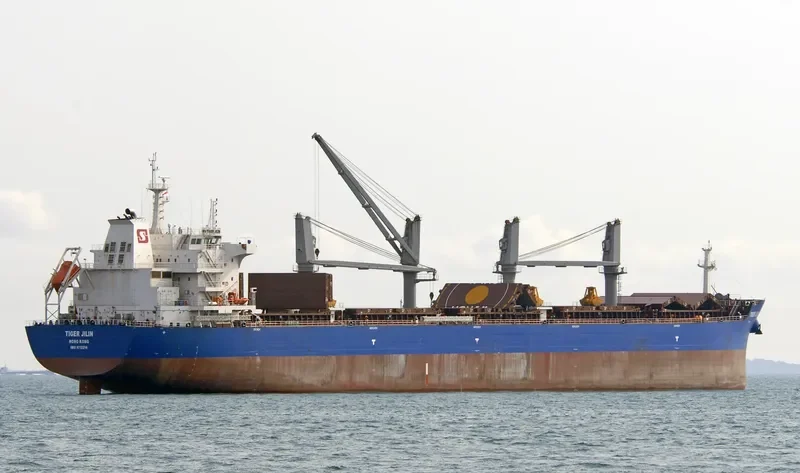 TIGER JILIN Bulk Carrier IMO 9712216 photo 2
