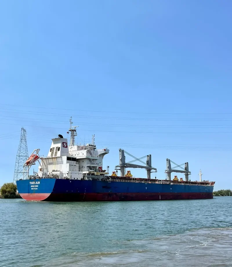TIGER JILIN Bulk Carrier IMO 9712216 photo 3