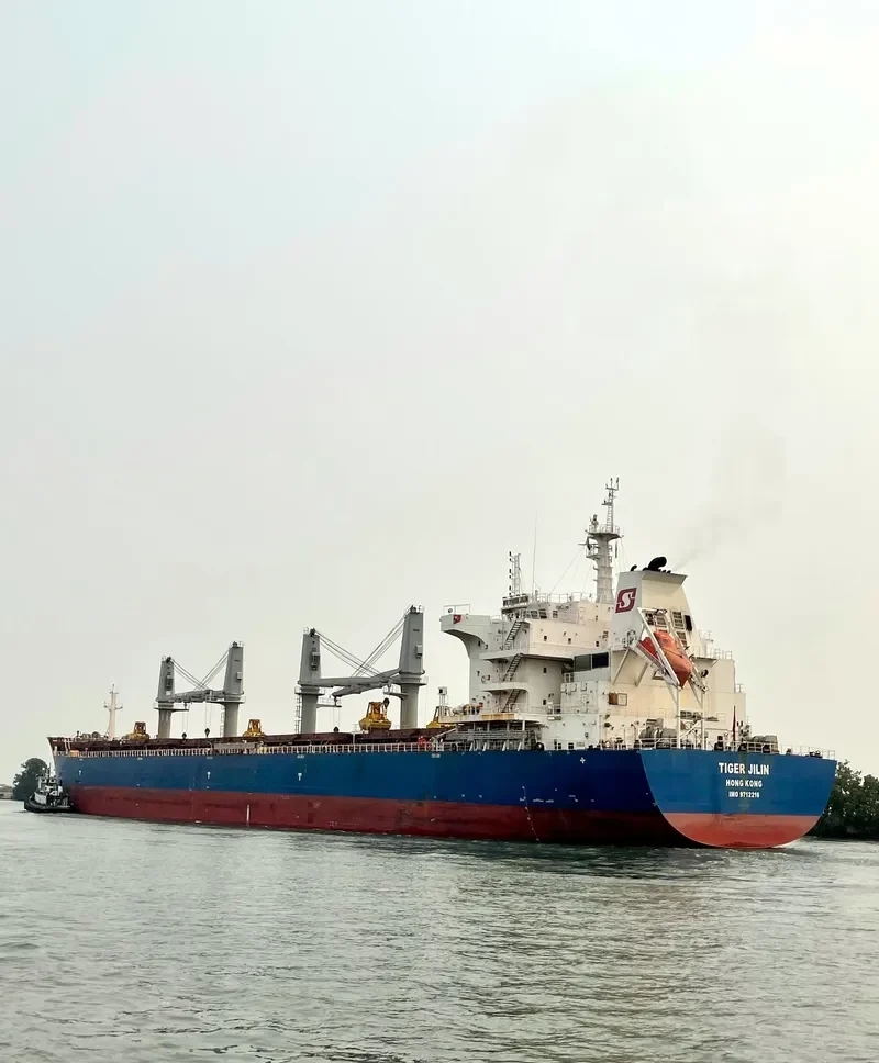 TIGER JILIN Bulk Carrier IMO 9712216 photo 4