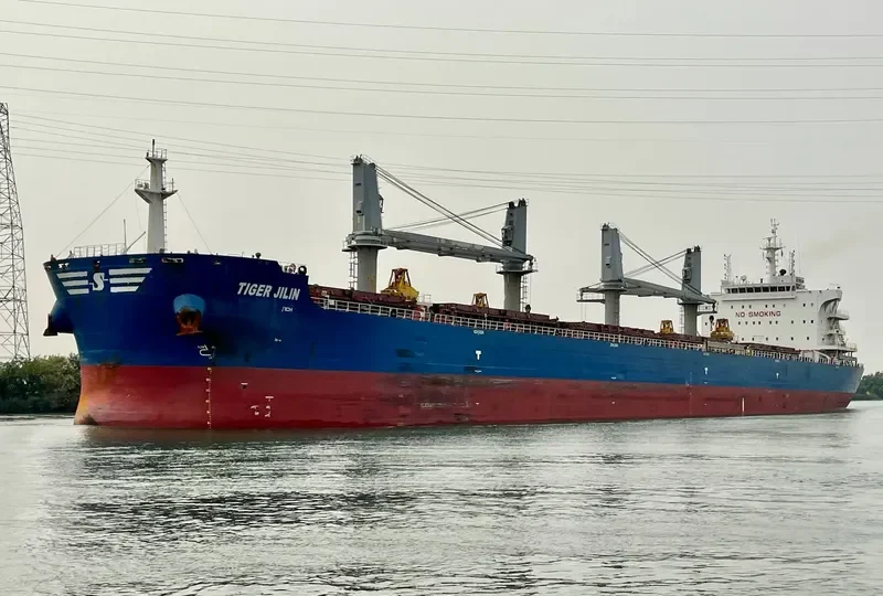 TIGER JILIN Bulk Carrier IMO 9712216 photo 6