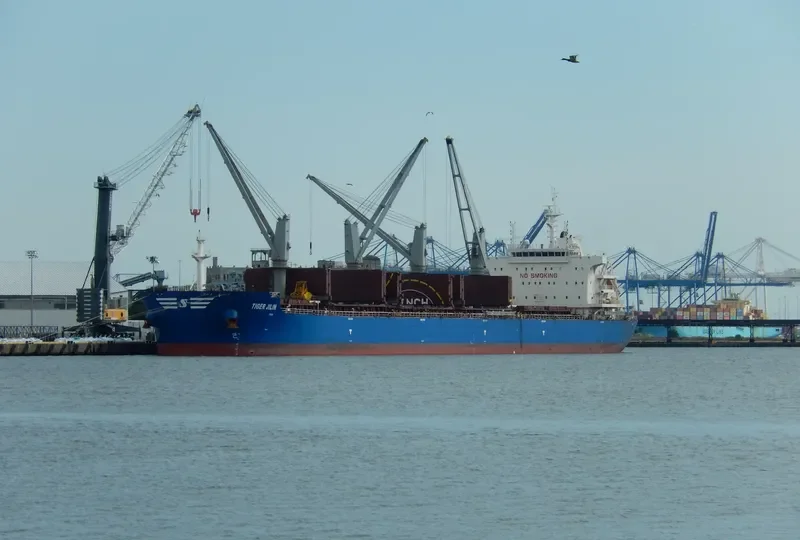 TIGER JILIN Bulk Carrier IMO 9712216 photo 8