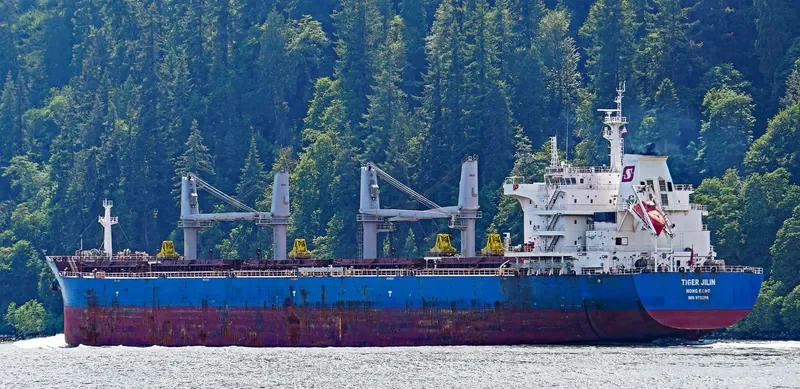 TIGER JILIN Bulk Carrier IMO 9712216 photo 9