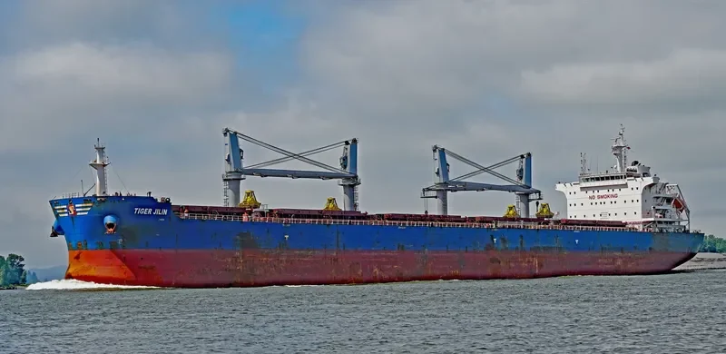 TIGER JILIN Bulk Carrier IMO 9712216 photo 10