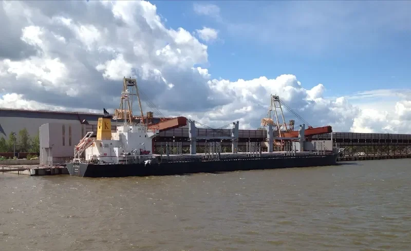 DARYA TAPTI Bulk Carrier IMO 9712462