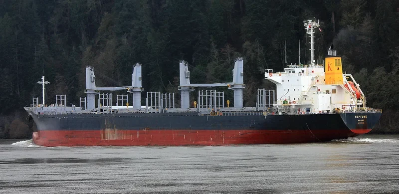DARYA TAPTI Bulk Carrier IMO 9712462 photo 2