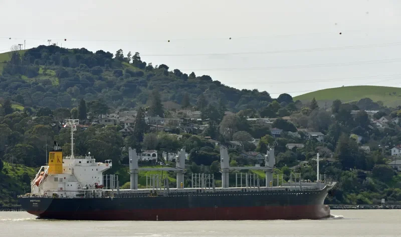 DARYA TAPTI Bulk Carrier IMO 9712462 photo 3