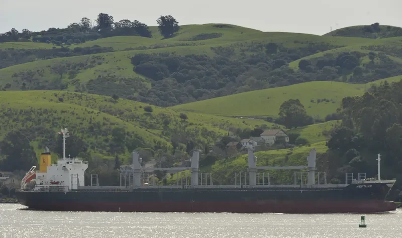 DARYA TAPTI Bulk Carrier IMO 9712462 photo 4
