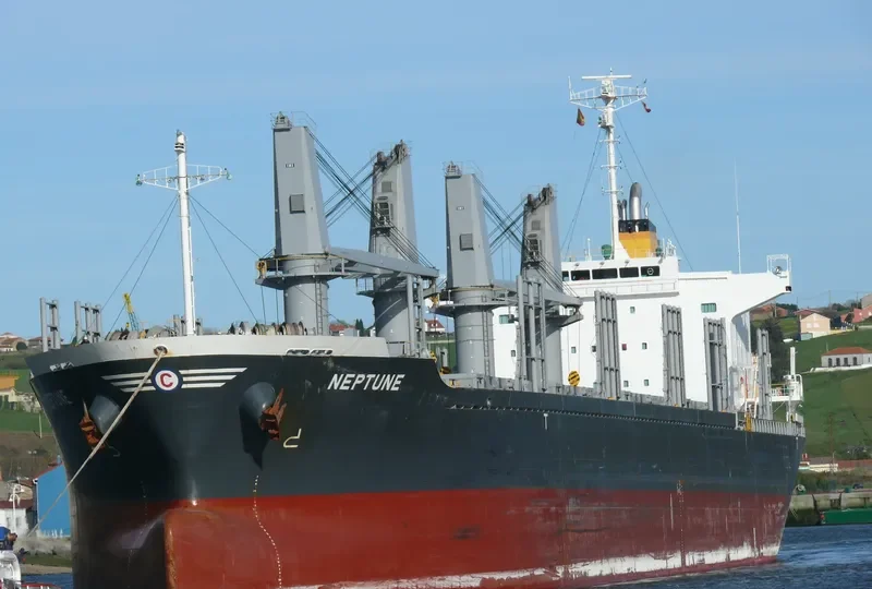 DARYA TAPTI Bulk Carrier IMO 9712462 photo 5