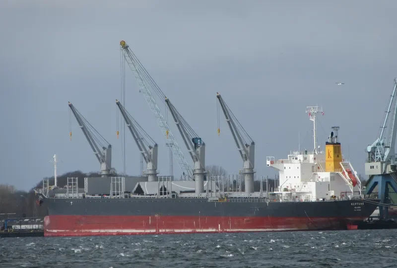 DARYA TAPTI Bulk Carrier IMO 9712462 photo 6