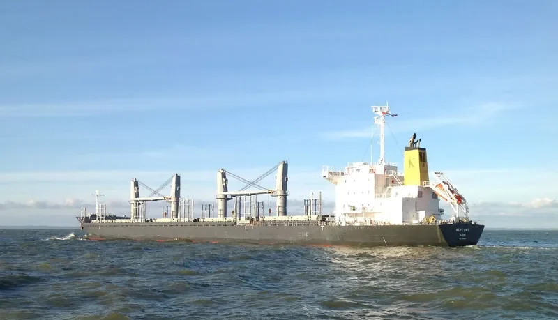 DARYA TAPTI Bulk Carrier IMO 9712462 photo 7