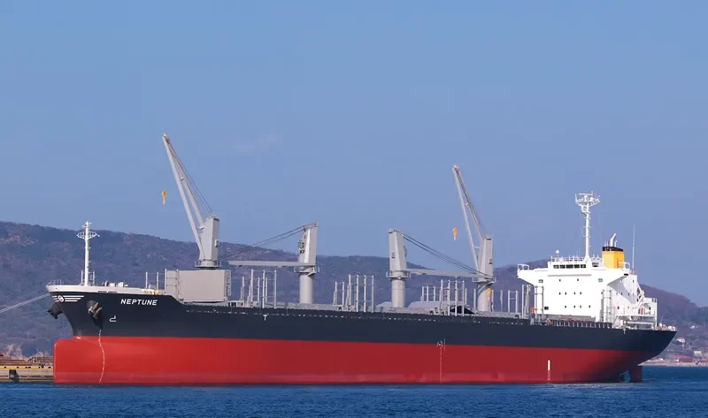 DARYA TAPTI Bulk Carrier IMO 9712462 photo 8
