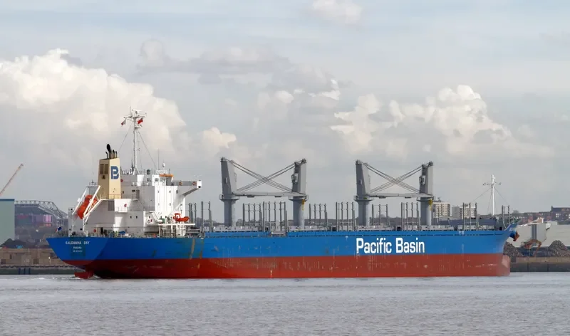 SALDANHA BAY Bulk Carrier IMO 9712474