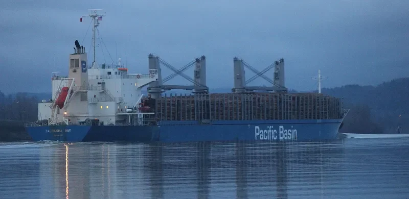 SALDANHA BAY Bulk Carrier IMO 9712474 photo 4