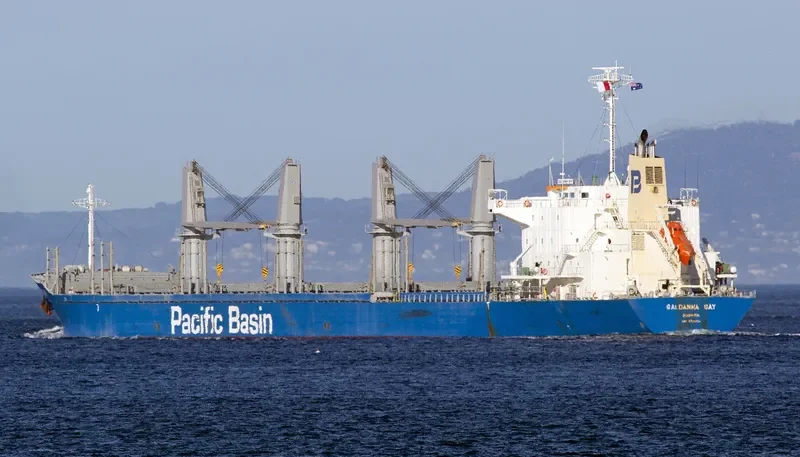 SALDANHA BAY Bulk Carrier IMO 9712474 photo 5