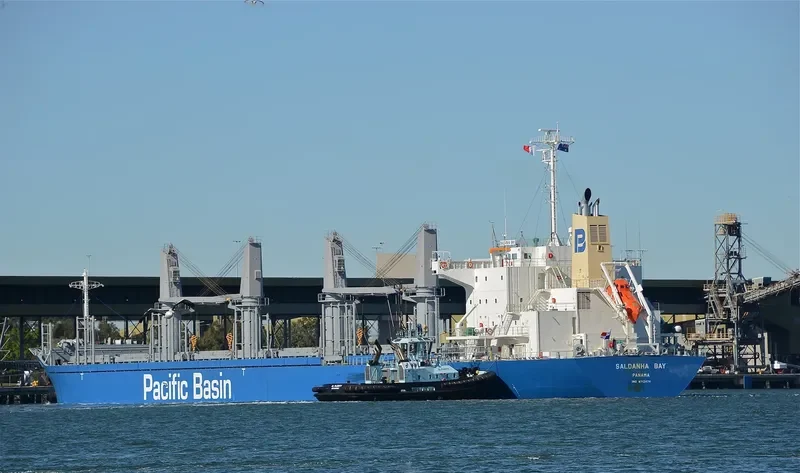 SALDANHA BAY Bulk Carrier IMO 9712474 photo 8