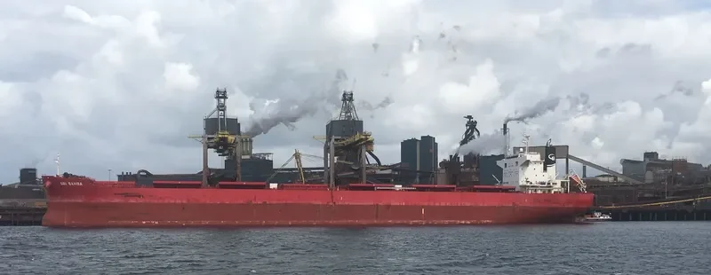 SBI SAMBA Bulk Carrier IMO 9712486 photo 2