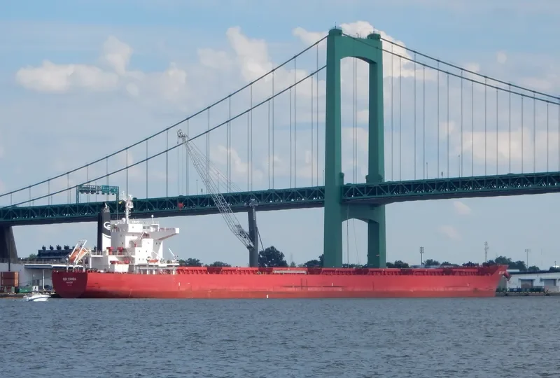 SBI SAMBA Bulk Carrier IMO 9712486 photo 9