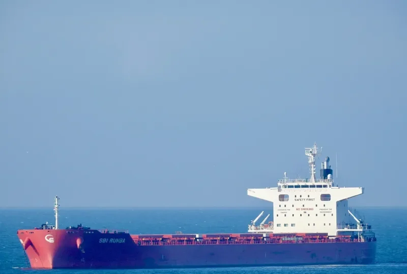SBI RUMBA Bulk Carrier IMO 9712498 photo 2