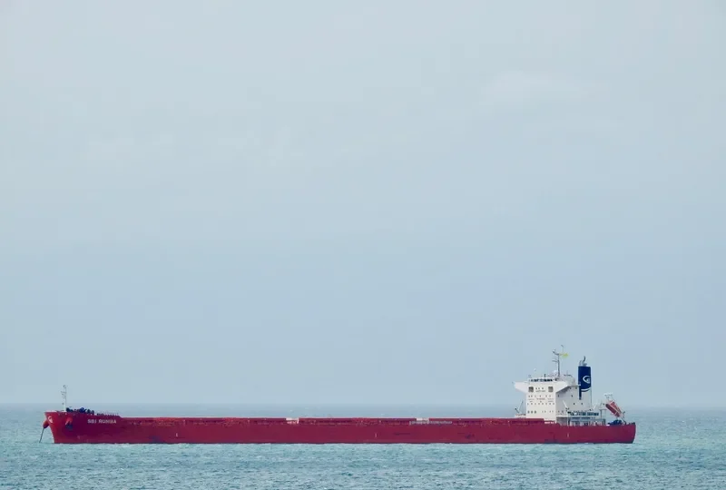 SBI RUMBA Bulk Carrier IMO 9712498 photo 3