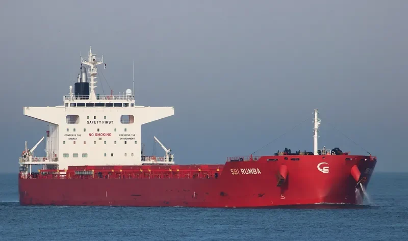 SBI RUMBA Bulk Carrier IMO 9712498 photo 8