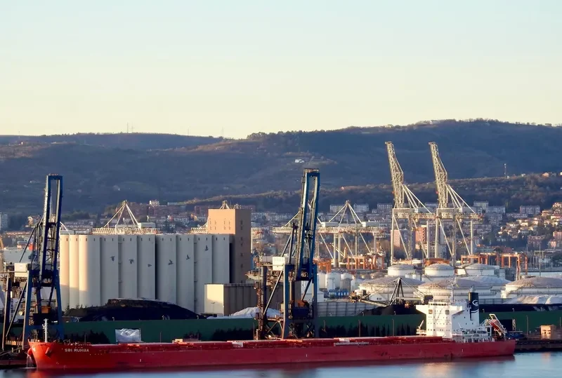 SBI RUMBA Bulk Carrier IMO 9712498 photo 9