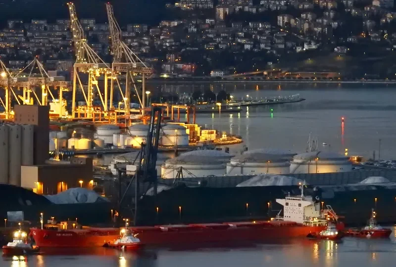 SBI RUMBA Bulk Carrier IMO 9712498 photo 10