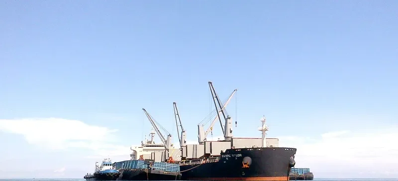 PACIFIC VALOR Bulk Carrier IMO 9712503