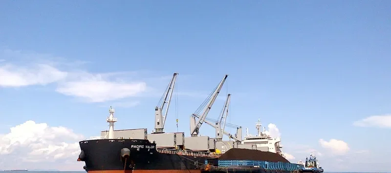 PACIFIC VALOR Bulk Carrier IMO 9712503 photo 2