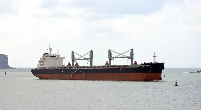 PACIFIC VALOR Bulk Carrier IMO 9712503 photo 4