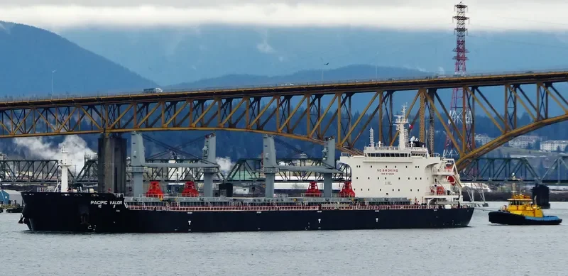 PACIFIC VALOR Bulk Carrier IMO 9712503 photo 5