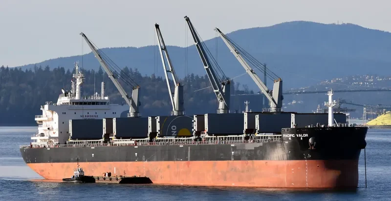PACIFIC VALOR Bulk Carrier IMO 9712503 photo 6