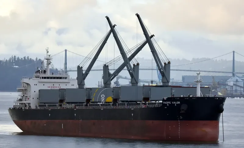 PACIFIC VALOR Bulk Carrier IMO 9712503 photo 7