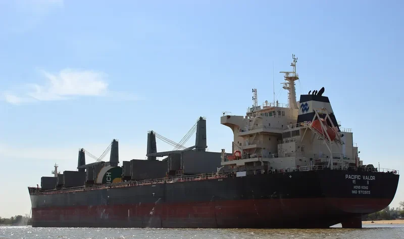 PACIFIC VALOR Bulk Carrier IMO 9712503 photo 8